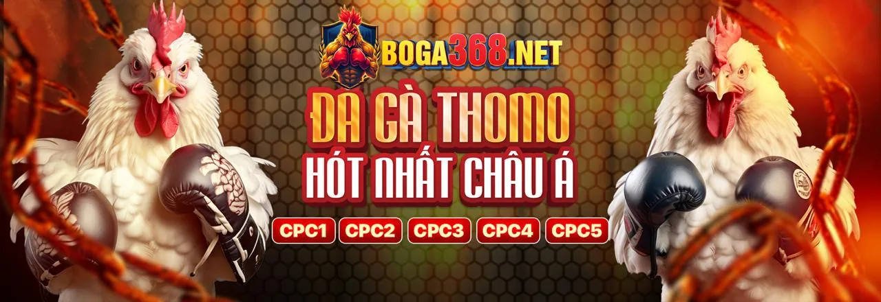 Đá Gà Trực Tuyến 888vi Link Vào An Toàn Nhất