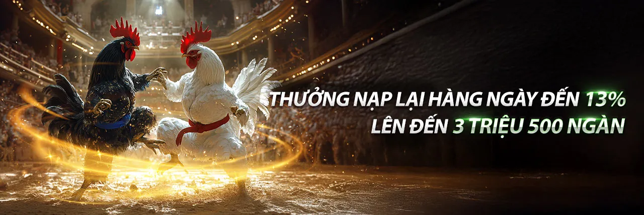 Hình ảnh chính 888vi link vào với các trò chơi cá cược và thông tin mới nhất